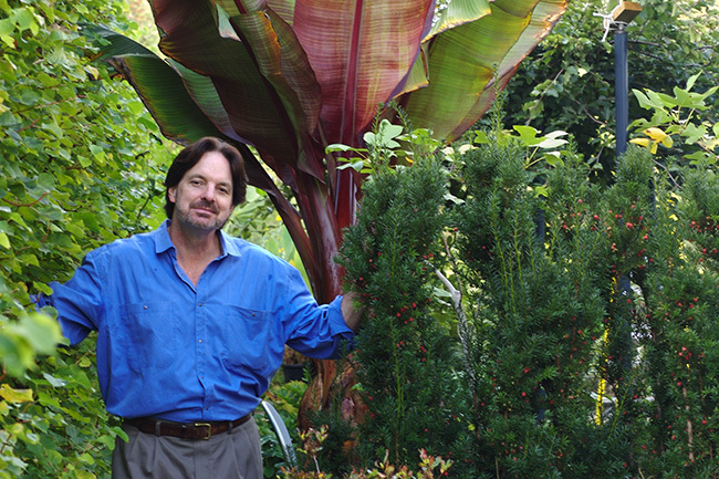 Digging Deeper: Natural is for Wimps—Training Plants into Extraordinary Shapes
